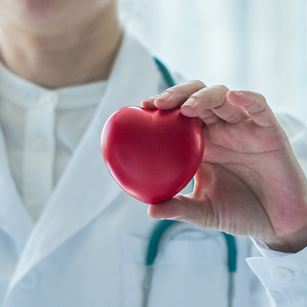 Cardiology (Heart Health)